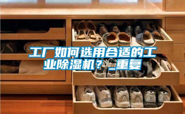 工廠如何選用合適的工業(yè)除濕機？_重復