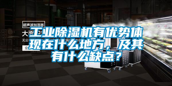 工業(yè)除濕機(jī)有優(yōu)勢(shì)體現(xiàn)在什么地方，及其有什么缺點(diǎn)？