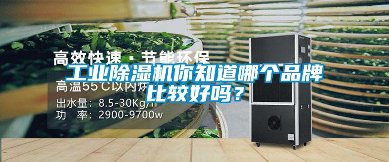 工業(yè)除濕機(jī)你知道哪個(gè)品牌比較好嗎？