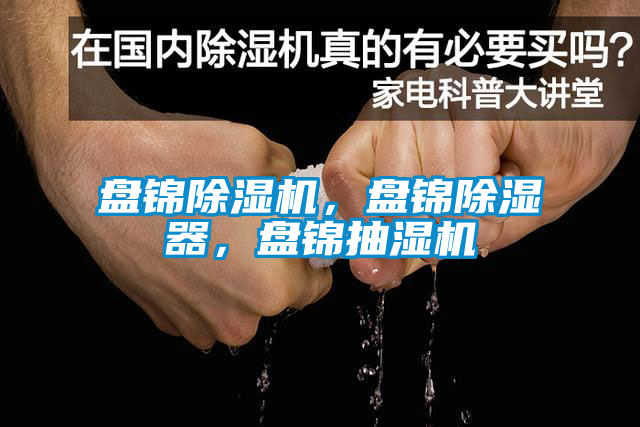 盤(pán)錦除濕機(jī)，盤(pán)錦除濕器，盤(pán)錦抽濕機(jī)