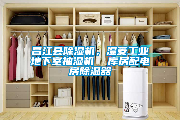 昌江縣除濕機(jī)，濕菱工業(yè)地下室抽濕機(jī)  庫(kù)房配電房除濕器