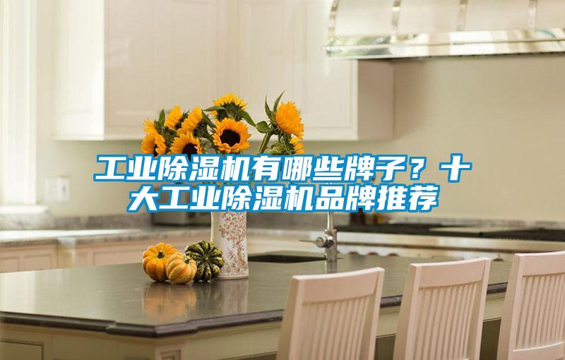 工業(yè)除濕機(jī)有哪些牌子？十大工業(yè)除濕機(jī)品牌推薦