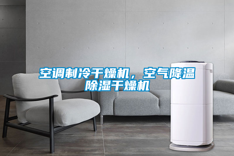空調(diào)制冷干燥機(jī)，空氣降溫除濕干燥機(jī)