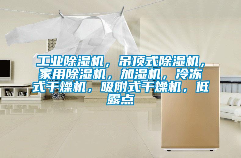 工業(yè)除濕機(jī)，吊頂式除濕機(jī)，家用除濕機(jī)，加濕機(jī)，冷凍式干燥機(jī)，吸附式干燥機(jī)，低露點(diǎn)