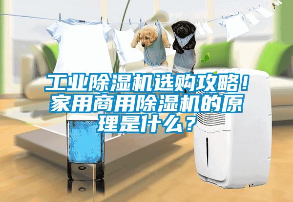 工業(yè)除濕機選購攻略！家用商用除濕機的原理是什么？