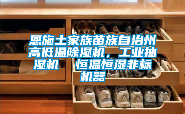 恩施土家族苗族自治州高低溫除濕機(jī)，工業(yè)抽濕機(jī)  恒溫恒濕非標(biāo)機(jī)器