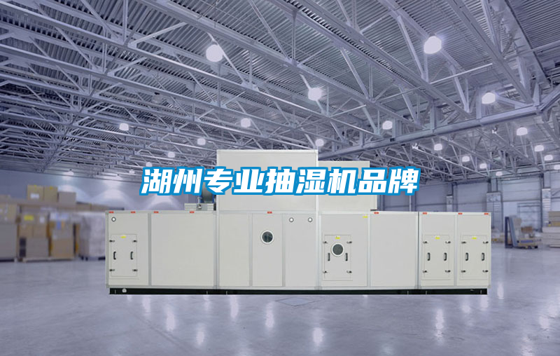 湖州專業(yè)抽濕機(jī)品牌