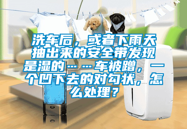 洗車后，或者下雨天抽出來的安全帶發(fā)現(xiàn)是濕的……車被蹭，一個(gè)凹下去的對勾狀，怎么處理？