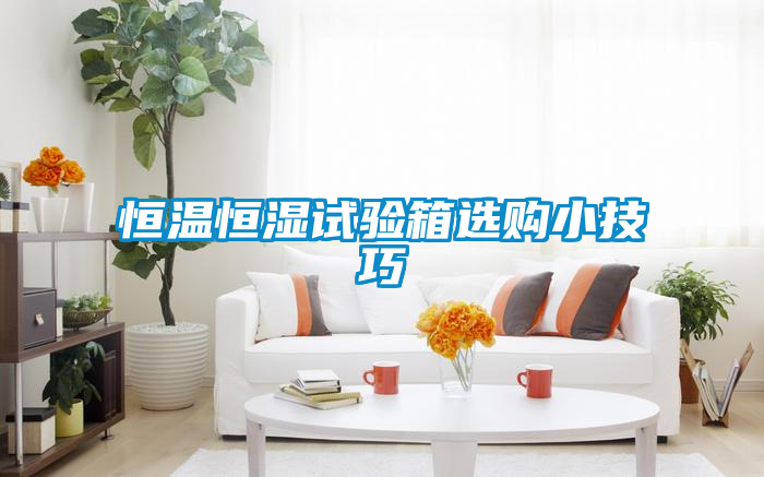 恒溫恒濕試驗(yàn)箱選購小技巧