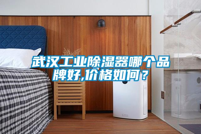 武漢工業(yè)除濕器哪個品牌好,價格如何？