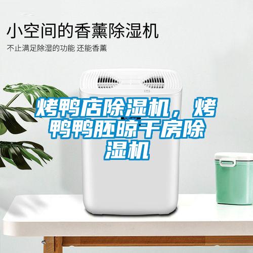 烤鴨店除濕機，烤鴨鴨胚晾干房除濕機