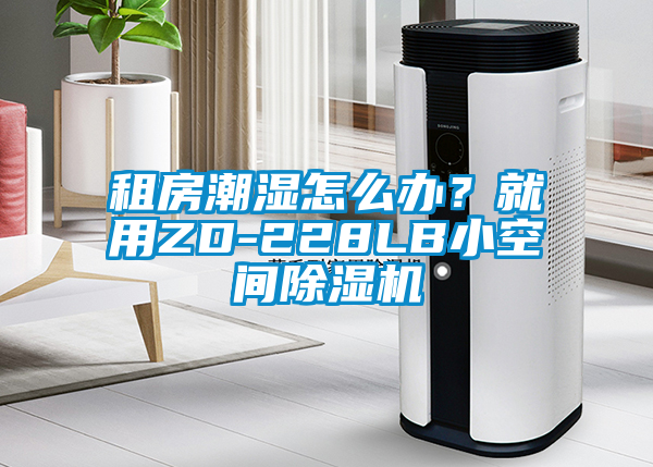 租房潮濕怎么辦？就用ZD-228LB小空間除濕機(jī)