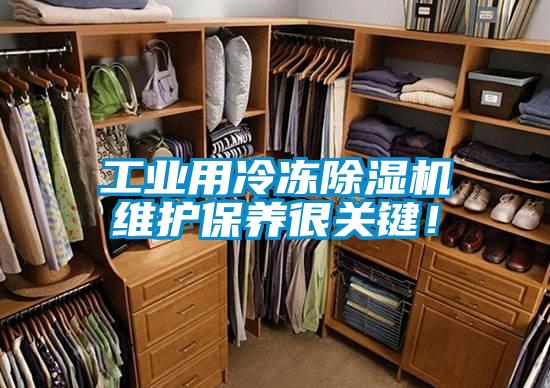 工業(yè)用冷凍除濕機(jī)維護(hù)保養(yǎng)很關(guān)鍵！