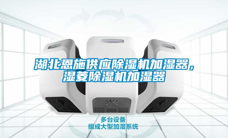 湖北恩施供應(yīng)除濕機(jī)加濕器，濕菱除濕機(jī)加濕器