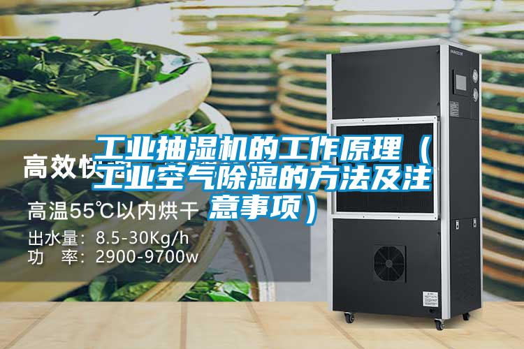 工業(yè)抽濕機的工作原理（工業(yè)空氣除濕的方法及注意事項）