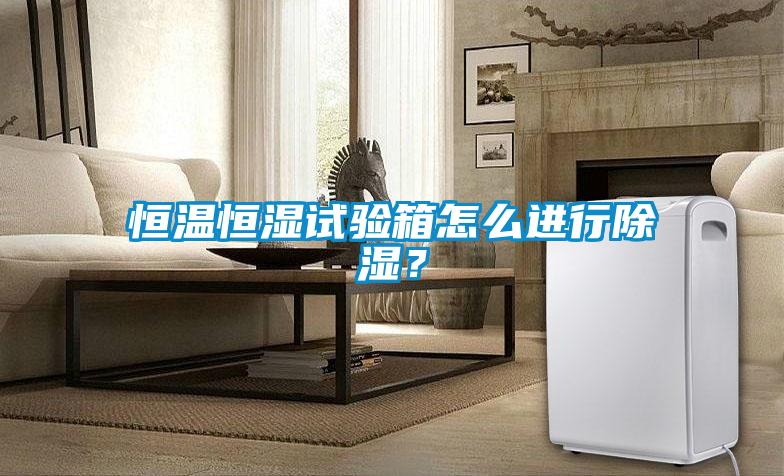 恒溫恒濕試驗(yàn)箱怎么進(jìn)行除濕？