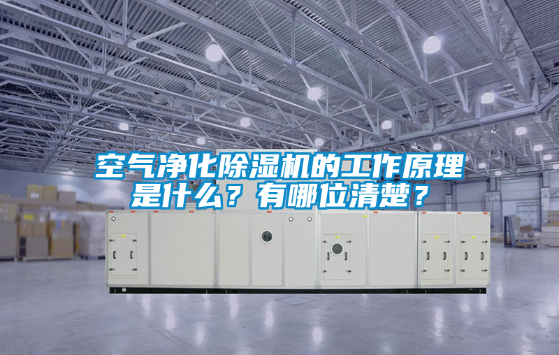 空氣凈化除濕機(jī)的工作原理是什么？有哪位清楚？