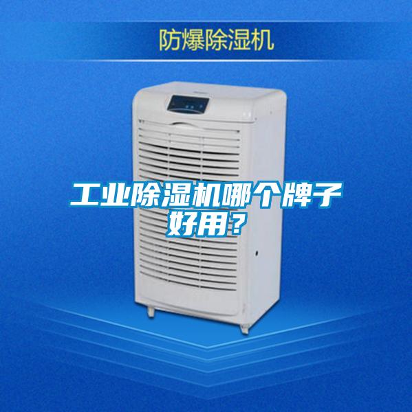工業(yè)除濕機(jī)哪個牌子好用？