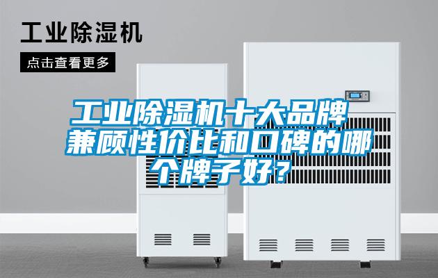 工業(yè)除濕機十大品牌 兼顧性價比和口碑的哪個牌子好？