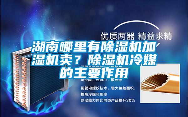 湖南哪里有除濕機(jī)加濕機(jī)賣？除濕機(jī)冷媒的主要作用