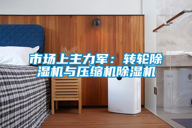 市場(chǎng)上主力軍：轉(zhuǎn)輪除濕機(jī)與壓縮機(jī)除濕機(jī)