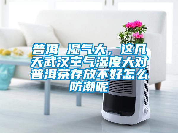 普洱 濕氣大，這幾天武漢空氣濕度大對普洱茶存放不好怎么防潮呢