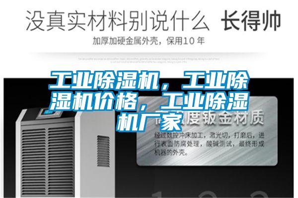 工業(yè)除濕機，工業(yè)除濕機價格，工業(yè)除濕機廠家