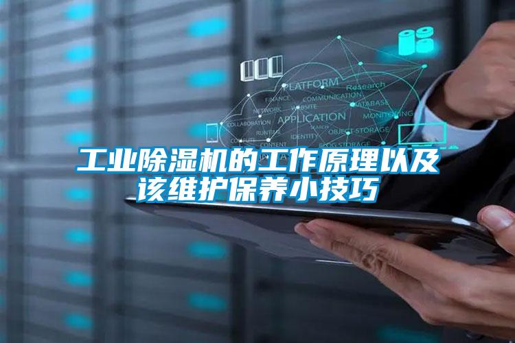 工業(yè)除濕機的工作原理以及該維護保養(yǎng)小技巧