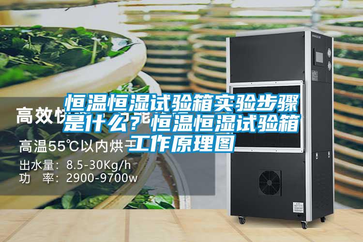 恒溫恒濕試驗箱實驗步驟是什么？恒溫恒濕試驗箱工作原理圖