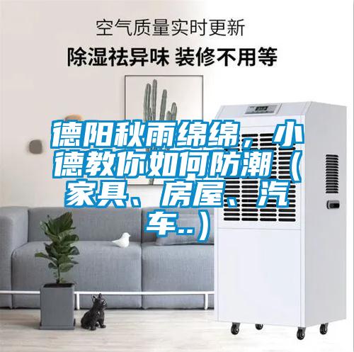 德陽秋雨綿綿，小德教你如何防潮（家具、房屋、汽車..）