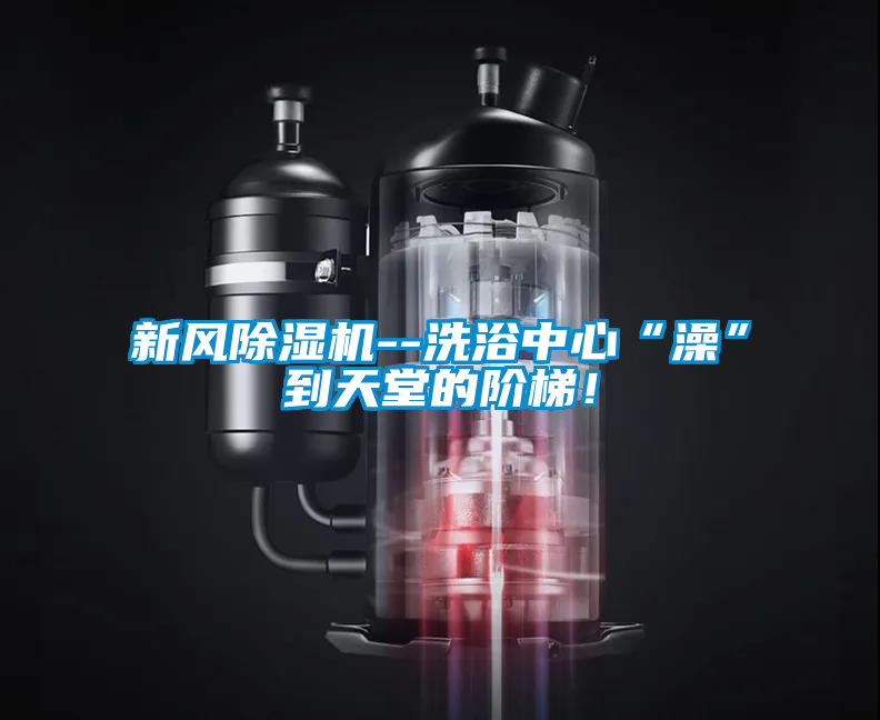 新風除濕機--洗浴中心“澡”到天堂的階梯！