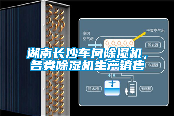 湖南長沙車間除濕機，各類除濕機生產(chǎn)銷售