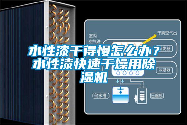 水性漆干得慢怎么辦？水性漆快速干燥用除濕機(jī)