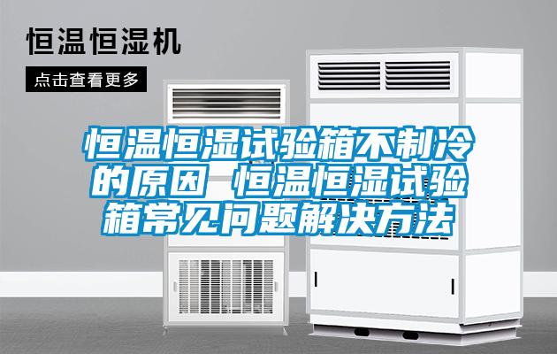 恒溫恒濕試驗(yàn)箱不制冷的原因 恒溫恒濕試驗(yàn)箱常見問(wèn)題解決方法