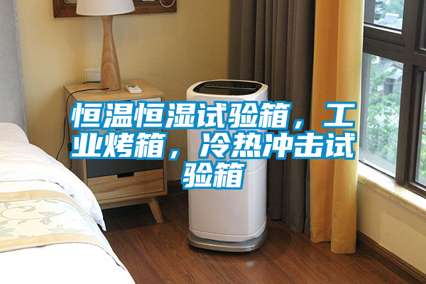 恒溫恒濕試驗箱，工業(yè)烤箱，冷熱沖擊試驗箱