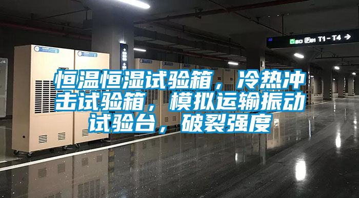 恒溫恒濕試驗箱，冷熱沖擊試驗箱，模擬運輸振動試驗臺，破裂強度