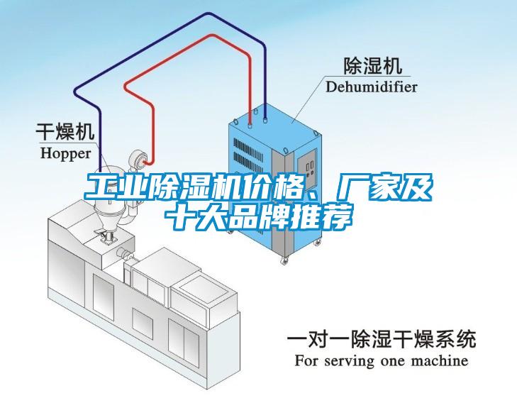 工業(yè)除濕機(jī)價(jià)格、廠家及十大品牌推薦