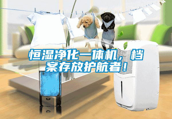 恒濕凈化一體機(jī)，檔案存放護(hù)航者！
