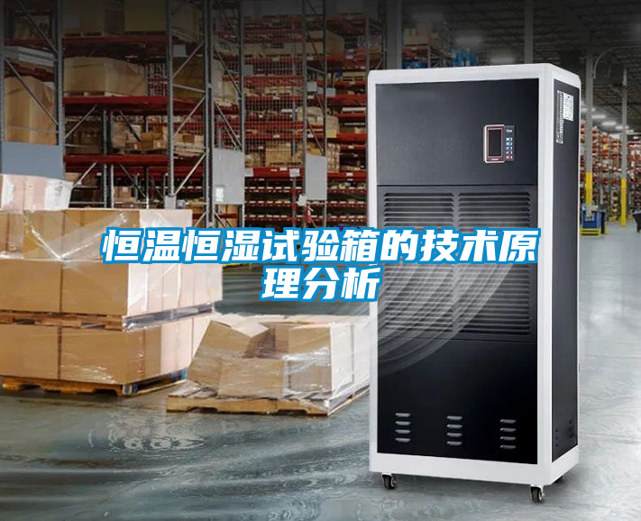恒溫恒濕試驗箱的技術(shù)原理分析