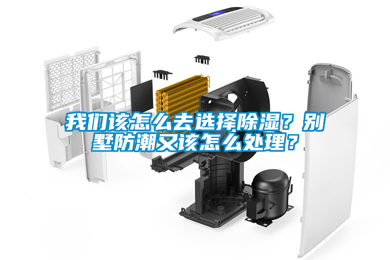 我們該怎么去選擇除濕？別墅防潮又該怎么處理？