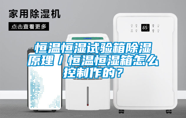 恒溫恒濕試驗(yàn)箱除濕原理／恒溫恒濕箱怎么控制作的？