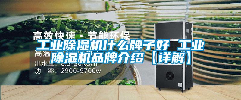 工業(yè)除濕機什么牌子好 工業(yè)除濕機品牌介紹【詳解】