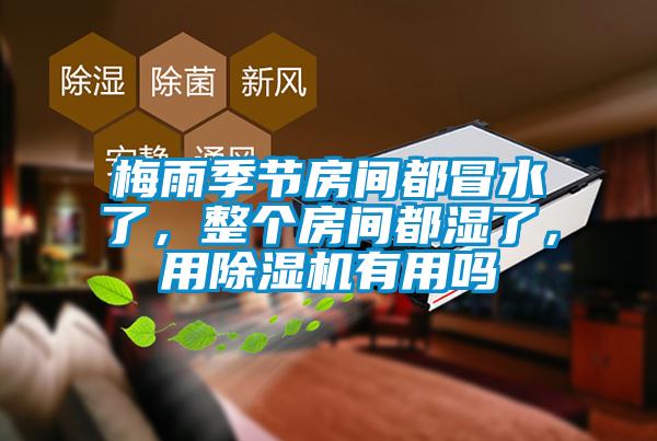 梅雨季節(jié)房間都冒水了，整個房間都濕了，用除濕機有用嗎