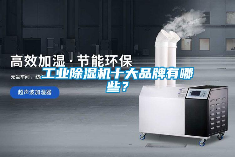 工業(yè)除濕機(jī)十大品牌有哪些？