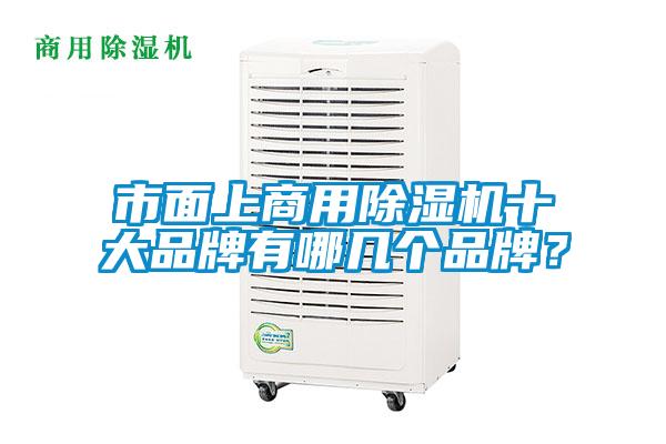市面上商用除濕機十大品牌有哪幾個品牌？