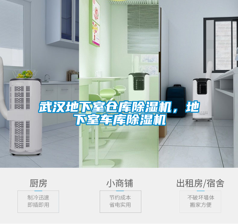 武漢地下室倉(cāng)庫(kù)除濕機(jī)，地下室車庫(kù)除濕機(jī)