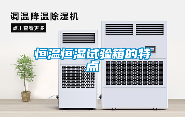 恒溫恒濕試驗箱的特點(diǎn)