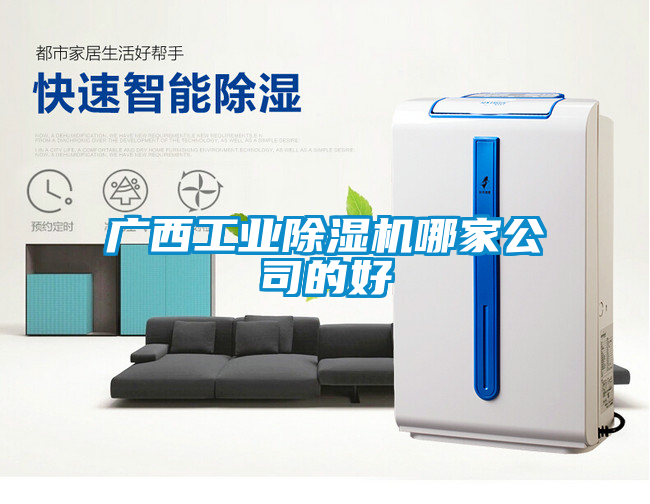 廣西工業(yè)除濕機哪家公司的好