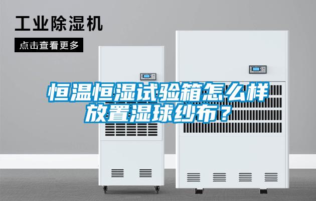 恒溫恒濕試驗(yàn)箱怎么樣放置濕球紗布？