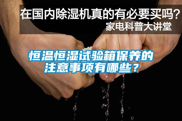 恒溫恒濕試驗箱保養(yǎng)的注意事項有哪些？